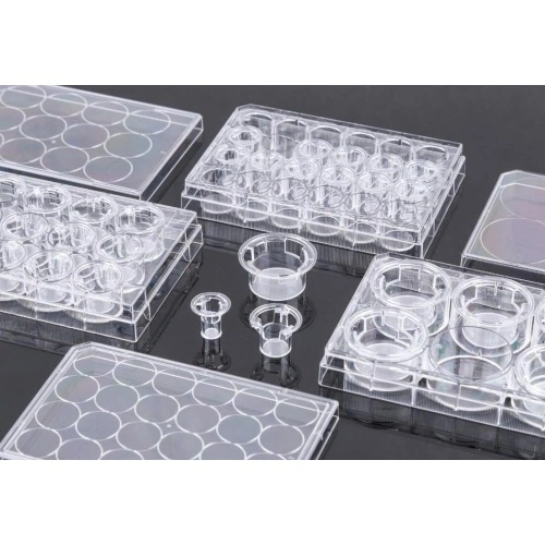 PET Memberane Cell Culture Inserts for 6well Plates China Manufacturer
